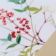 STAGE DESSIN - Crayons de couleurs