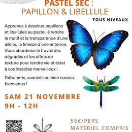 Stage dessin : Pastel sec - Papillon et libellule par Floriane VIRGO