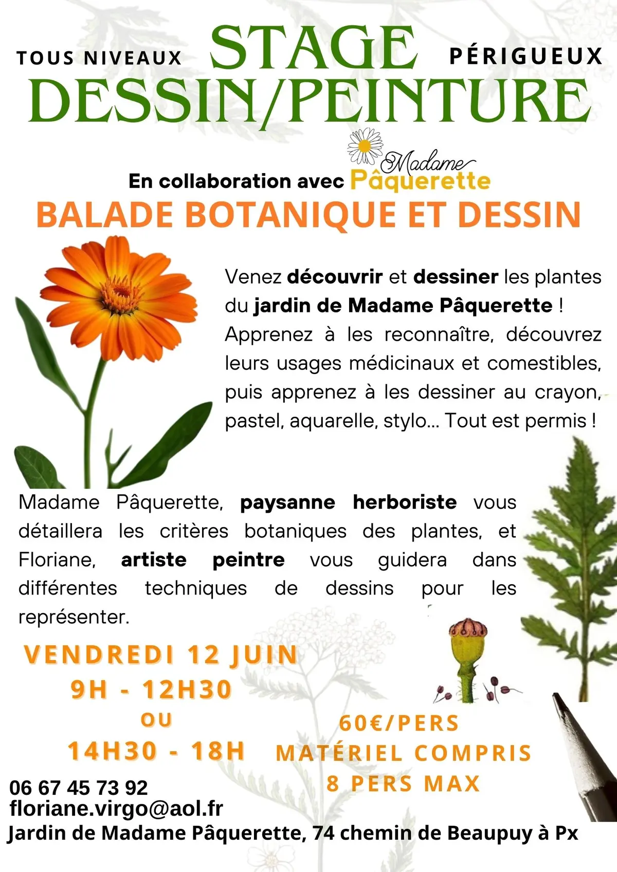 Stage dessin-peinture : Balade Botanique