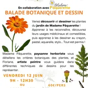 Stage dessin-peinture : Balade Botanique