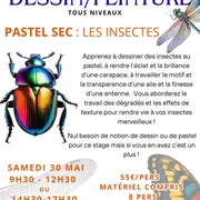 Stage dessin-peinture : Pastel sec - Les insectes