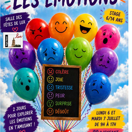 Stage Enfant : Les émotions