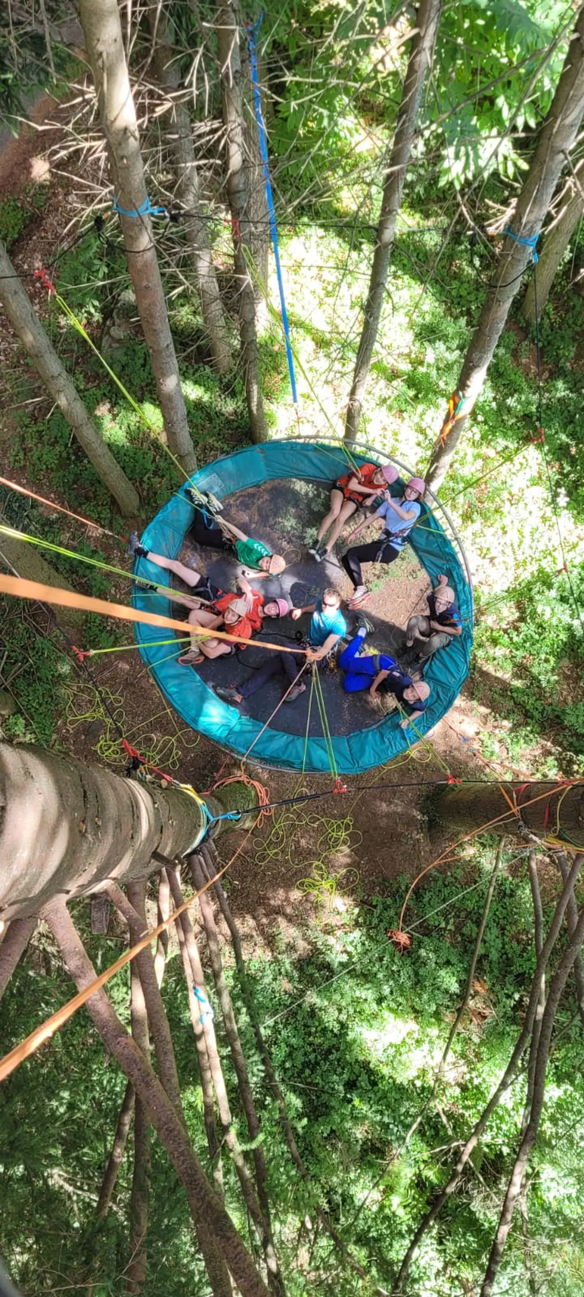 Stage Enfants Cirque Et Grimpe D'Arbre