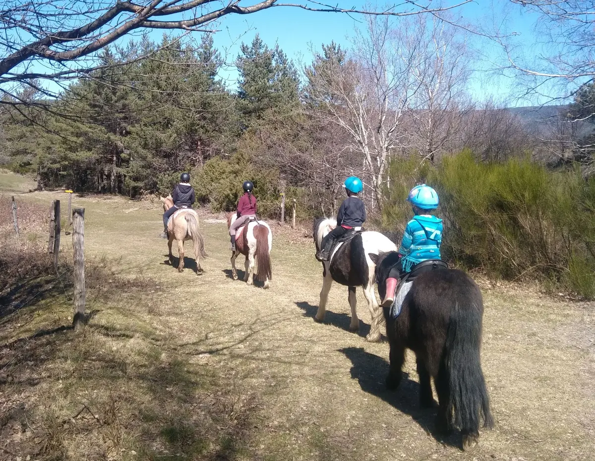 Stage Equestre : Initiation Decouverte