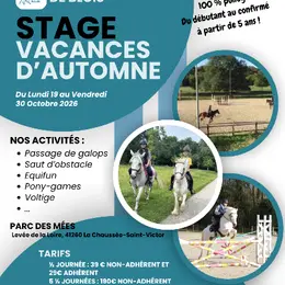 Stage équitation