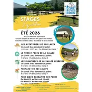Stage Equitation Eté 2026