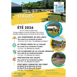 Stage Equitation Eté 2026