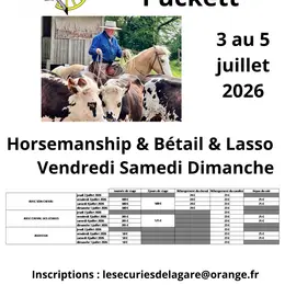 Stage équitation western