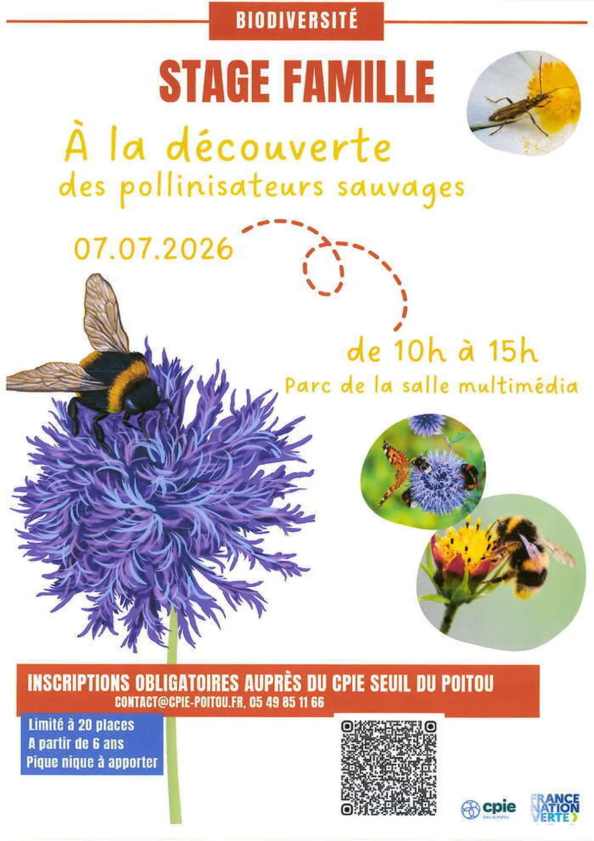 Stage famille - A la découverte des pollinisateurs sauvages