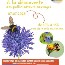 Stage famille - A la découverte des pollinisateurs sauvages