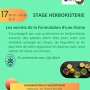 Stage Herboristerie à Saint-Rémy