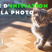 Stage : Initiation à la Photographie