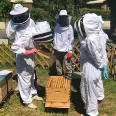 Stage journée apiculture à Daux près de Toulouse