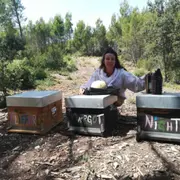 Stage journée apiculture à Mouriès (13)