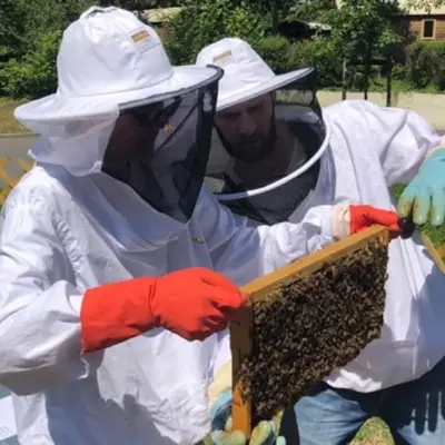 Gironde : nos 12 idées sorties du week-end