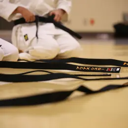 Stage Karate