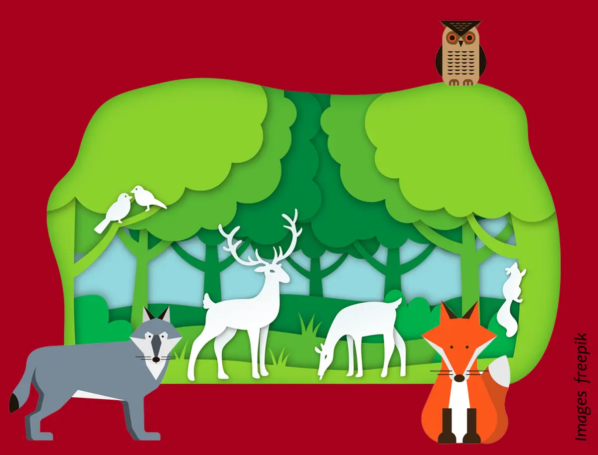 Stage « Marionnettes de papier : La Forêt » - 7/14 ans