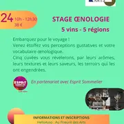 Stage Oenologie à Saint Rémy