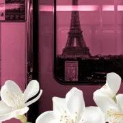 Stage On sort ! printemps