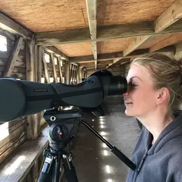 Stage ornithologique à la journée