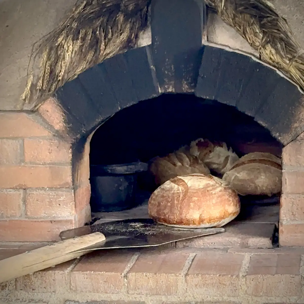 Stage Pain et pizza au levain