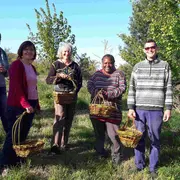 Stage panier sur arceaux