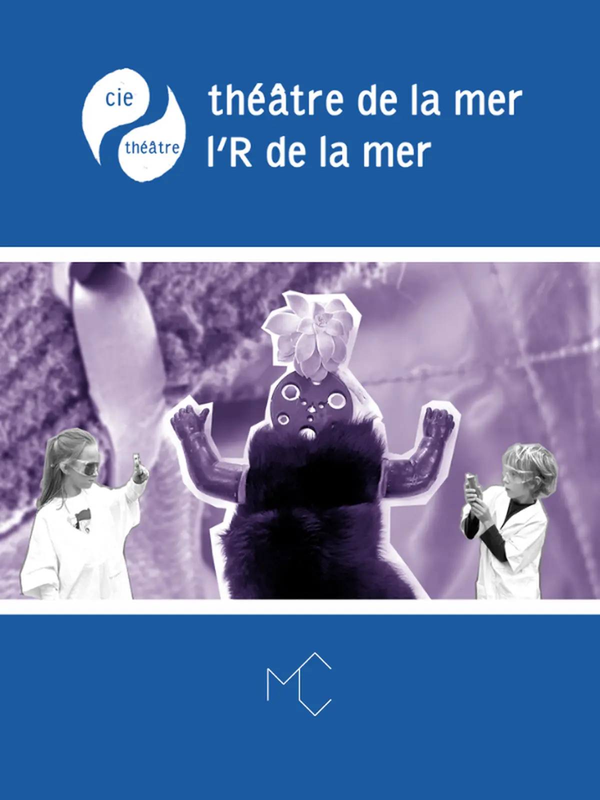Stage peaupoil et plumécaille