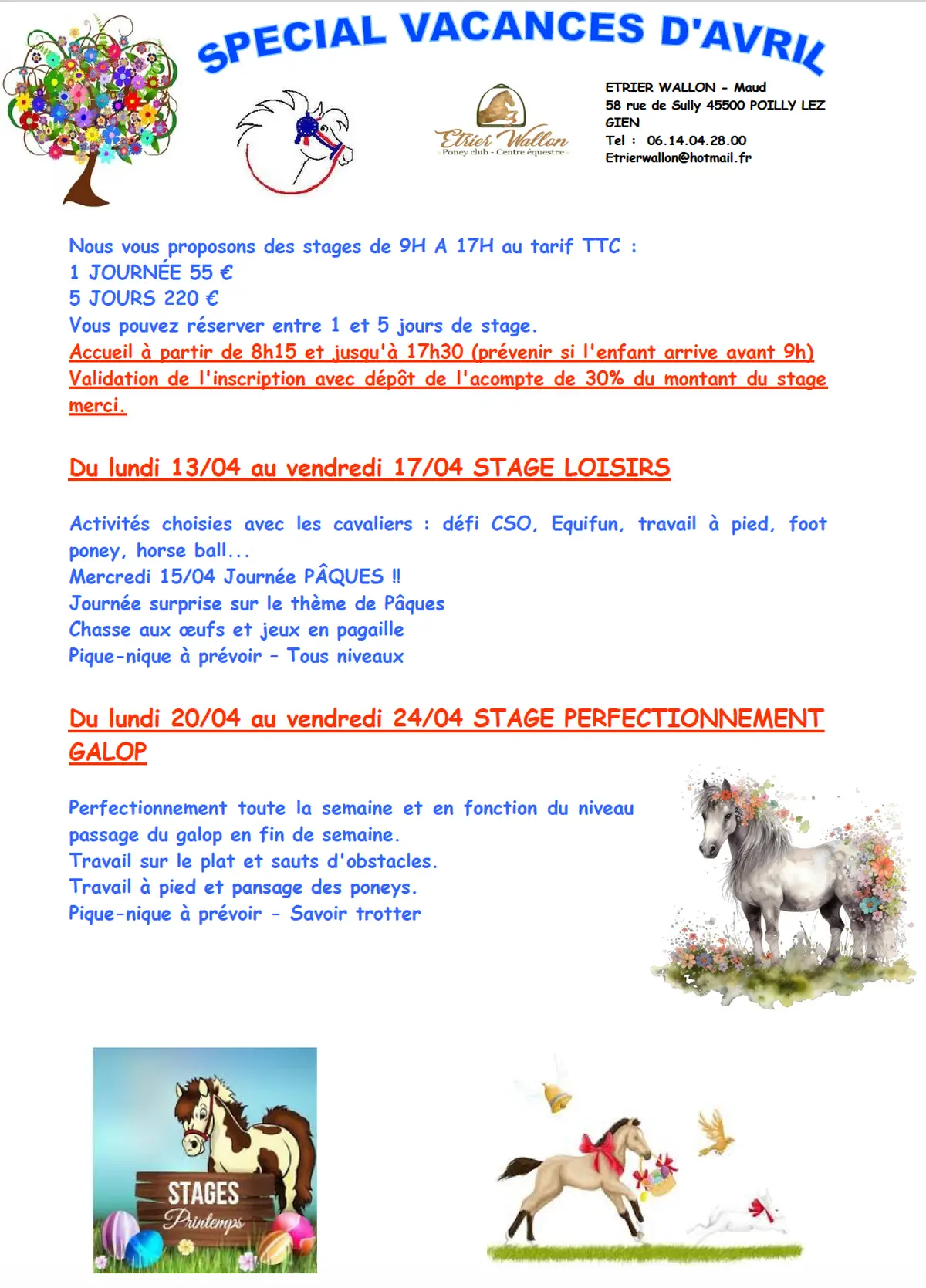 Stage Perfectionnement Galop