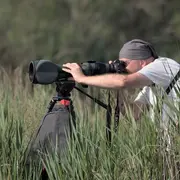 Stage photographique