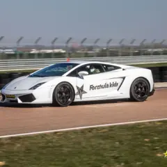Stage Pilotage Enfant en Lamborghini à Magny-Cours (58)