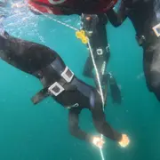 Stage plongée sous-marine de 3 demi-journées à Groix (56)