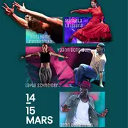 Stage pluridisciplinaire - Pulsion