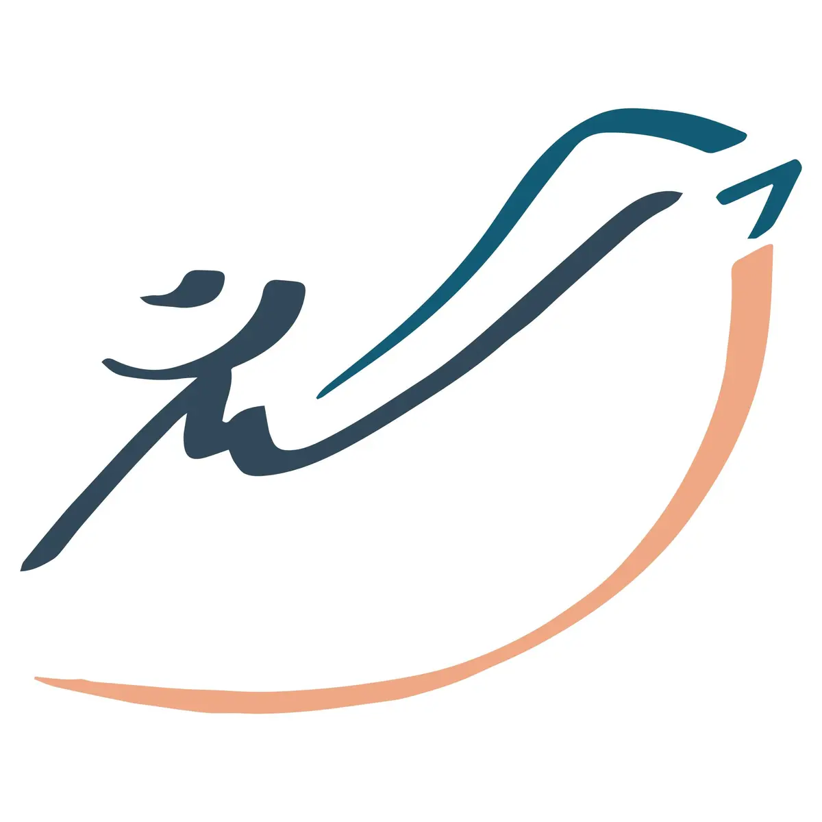 Stage Poterie des sittelles-Atelier découverte du tournage