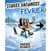 Stage skate Culture glisse