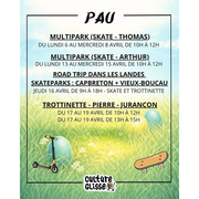 Stage skate multipark