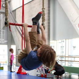 Stage vacances d'automne - Baby cirque 3-5 ans