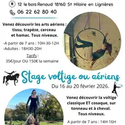 Stage voltige ou ériens