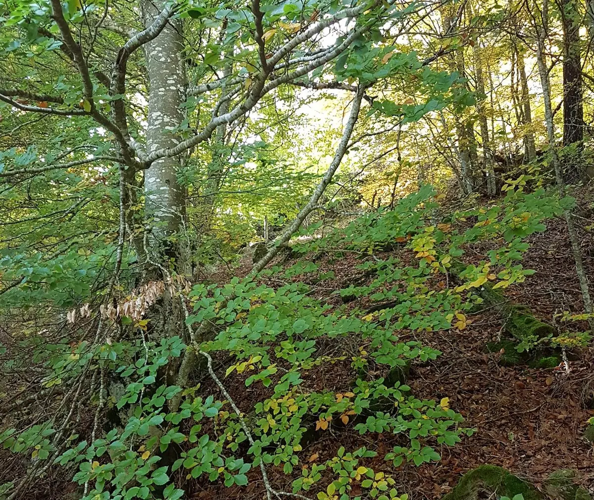 Stage Yoga De Printemps