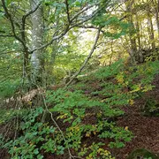 Stage Yoga De Printemps