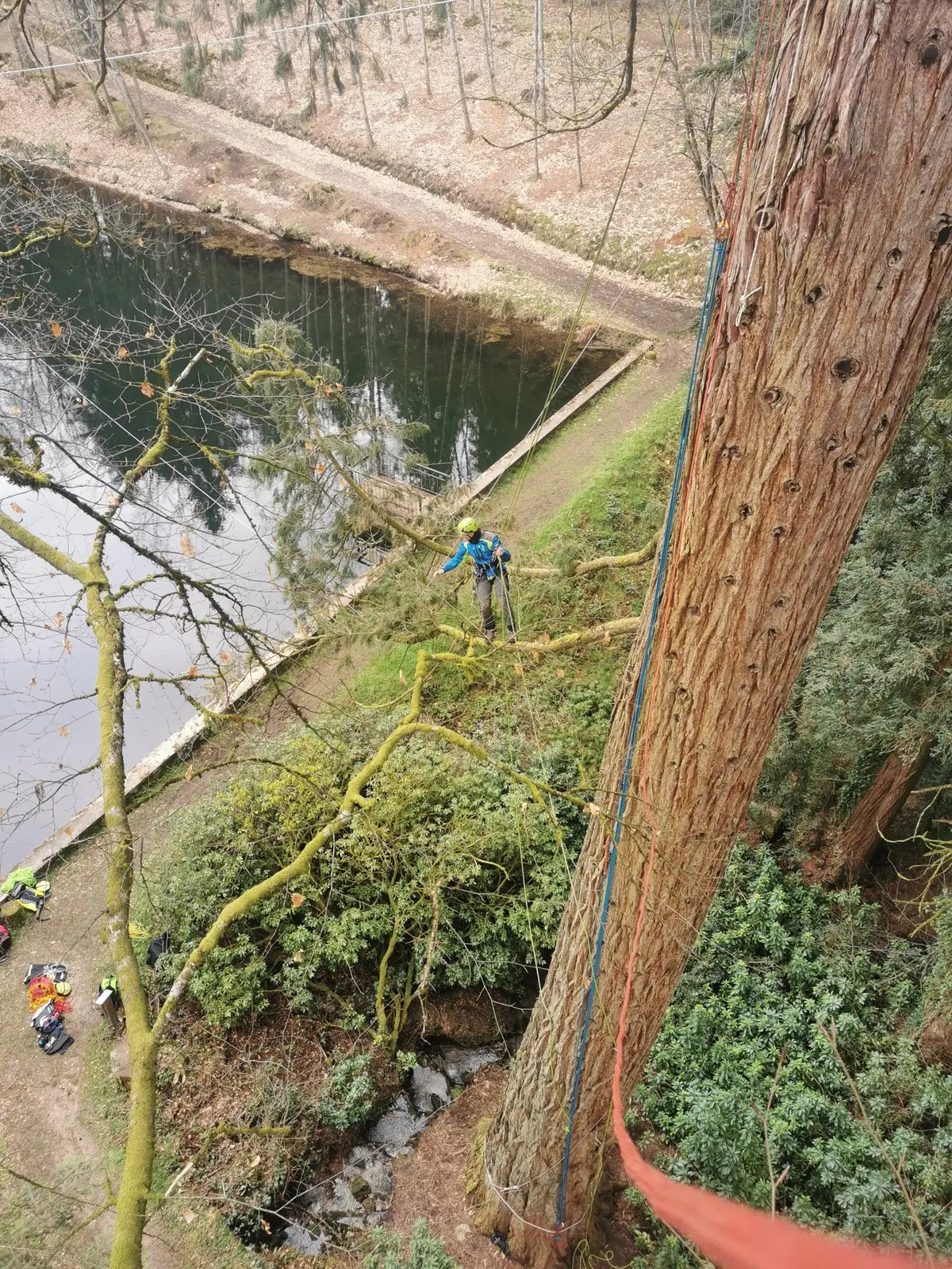 Stages à la journée Devenir grimpeur d'arbres
