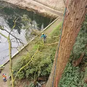 Stages à la journée Devenir grimpeur d'arbres