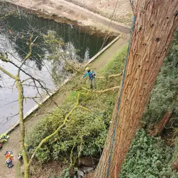 Stages à la journée Devenir grimpeur d'arbres