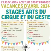 Stages arts du cirque et du geste