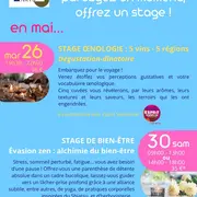 Stages au Prieuré des Arts au mois de mai à Saint-Rémy