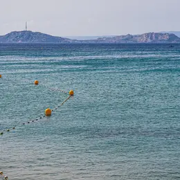Stages d'apprentissage de la natation en mer