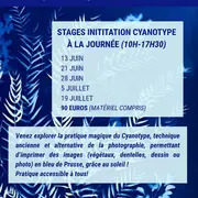 Stages D'Initiation Au Cyanotype