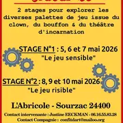 Stages de Clown : La Mécanique du Joueur-euse