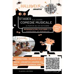 Stages de comédies musicales