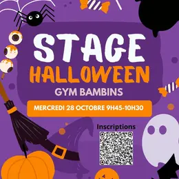 Stages de gym avec la MJC !