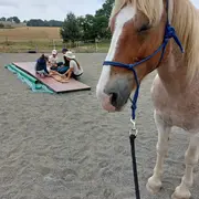 Stages Mensuels Equiyoga Lu-Jong Des 5 Elements